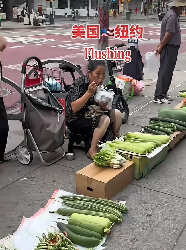 没有中国人种不了的地，没有中国人卖不了的菜！早晨，美国纽约法拉盛地区街边摆摊卖菜