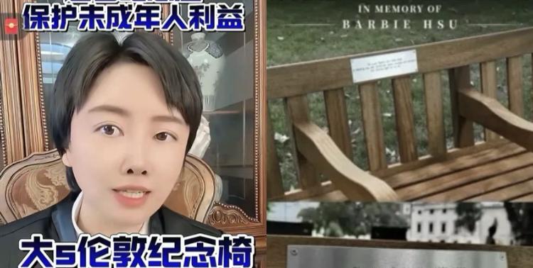 大S粉丝在伦敦搞纪念椅，结果惹上法律麻烦了？律师：孩子没同意，汪小菲可以告！最