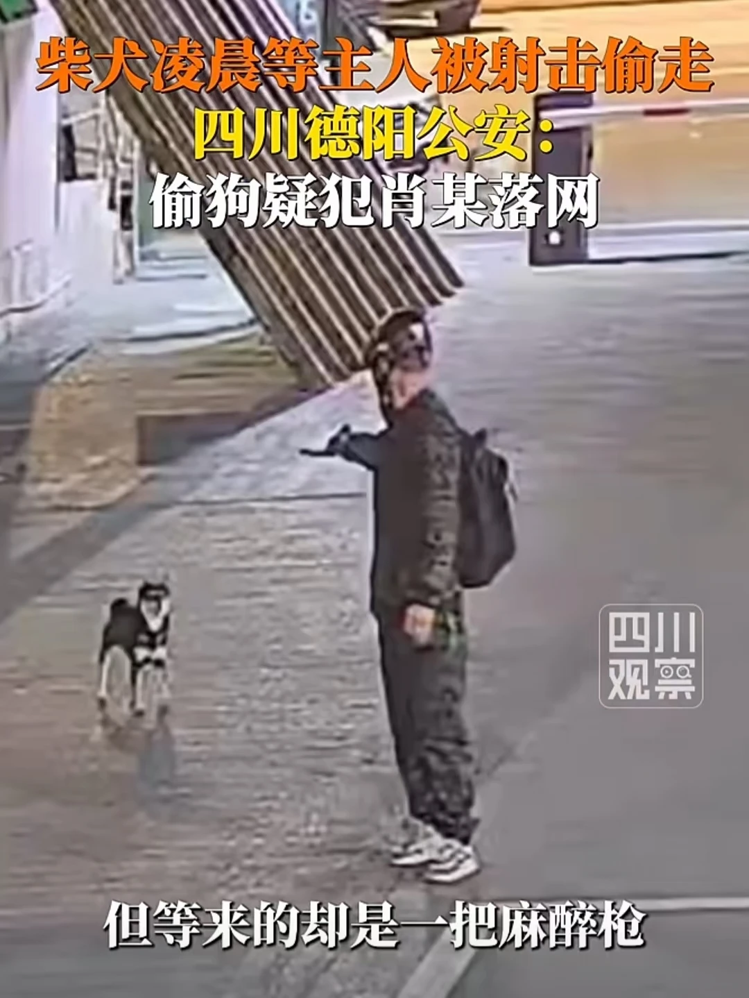 下一个是谁？不可怕吗？