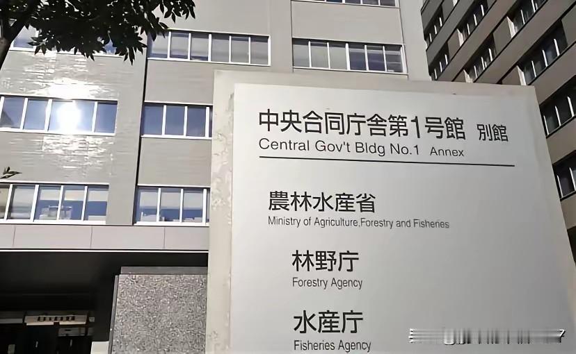 中国船长已获释，日本海保：警告日本渔民避免去钓鱼岛！​​根据日本共同社消息