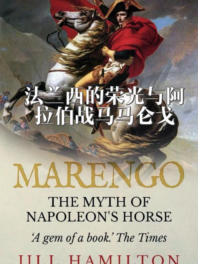 法兰西的荣光！当6岁的阿拉伯马Marengo马仑戈在埃及战役被俘获来到了法国，他