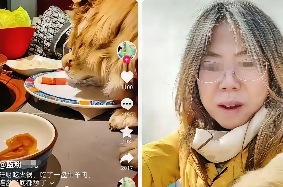 女子带狗上桌吃涮肉后续：女子删视频，店铺决定索赔，评论区炸了​几百万的赔偿单砸