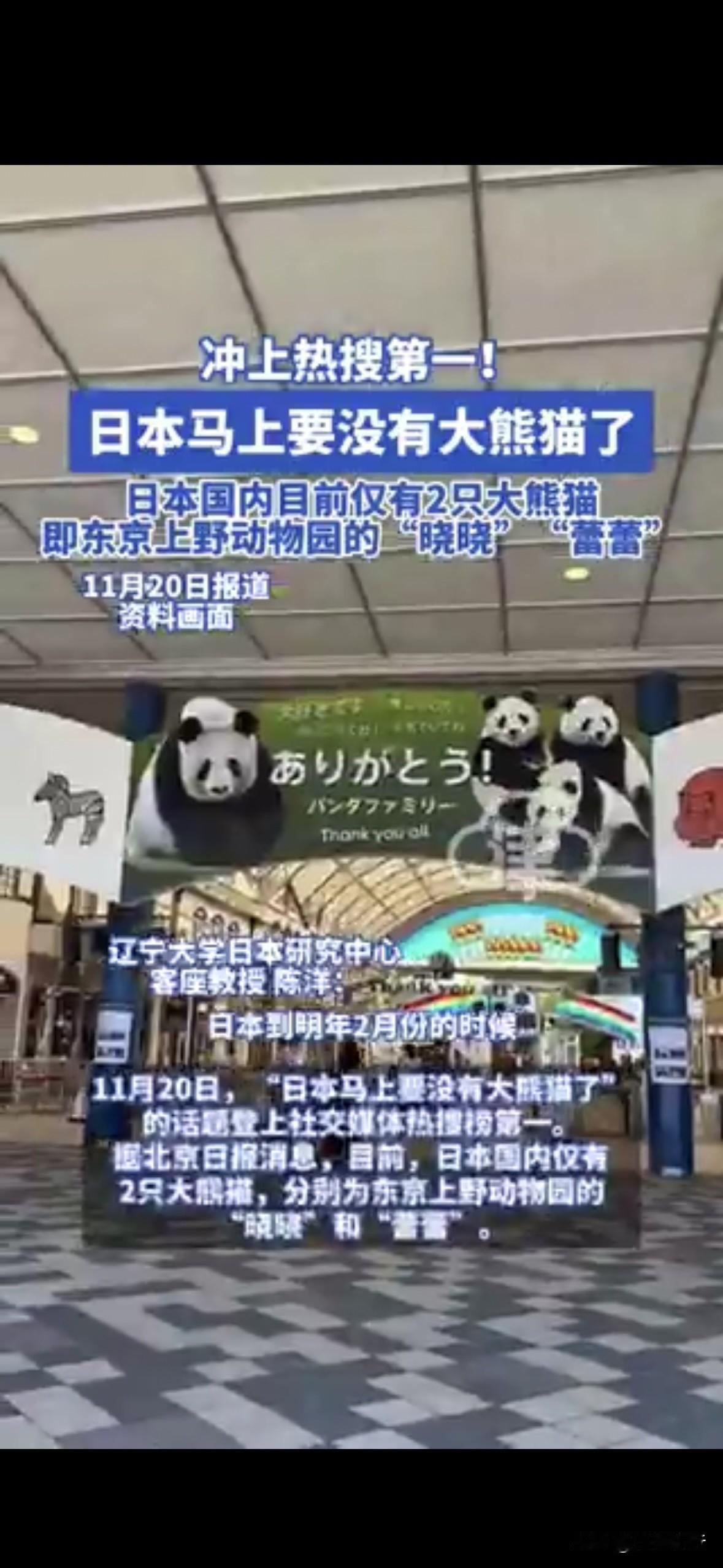晓晓和蕾蕾：我就是想吃个竹子，怎么还这就成“战略物资”了？😂日本明年要变成