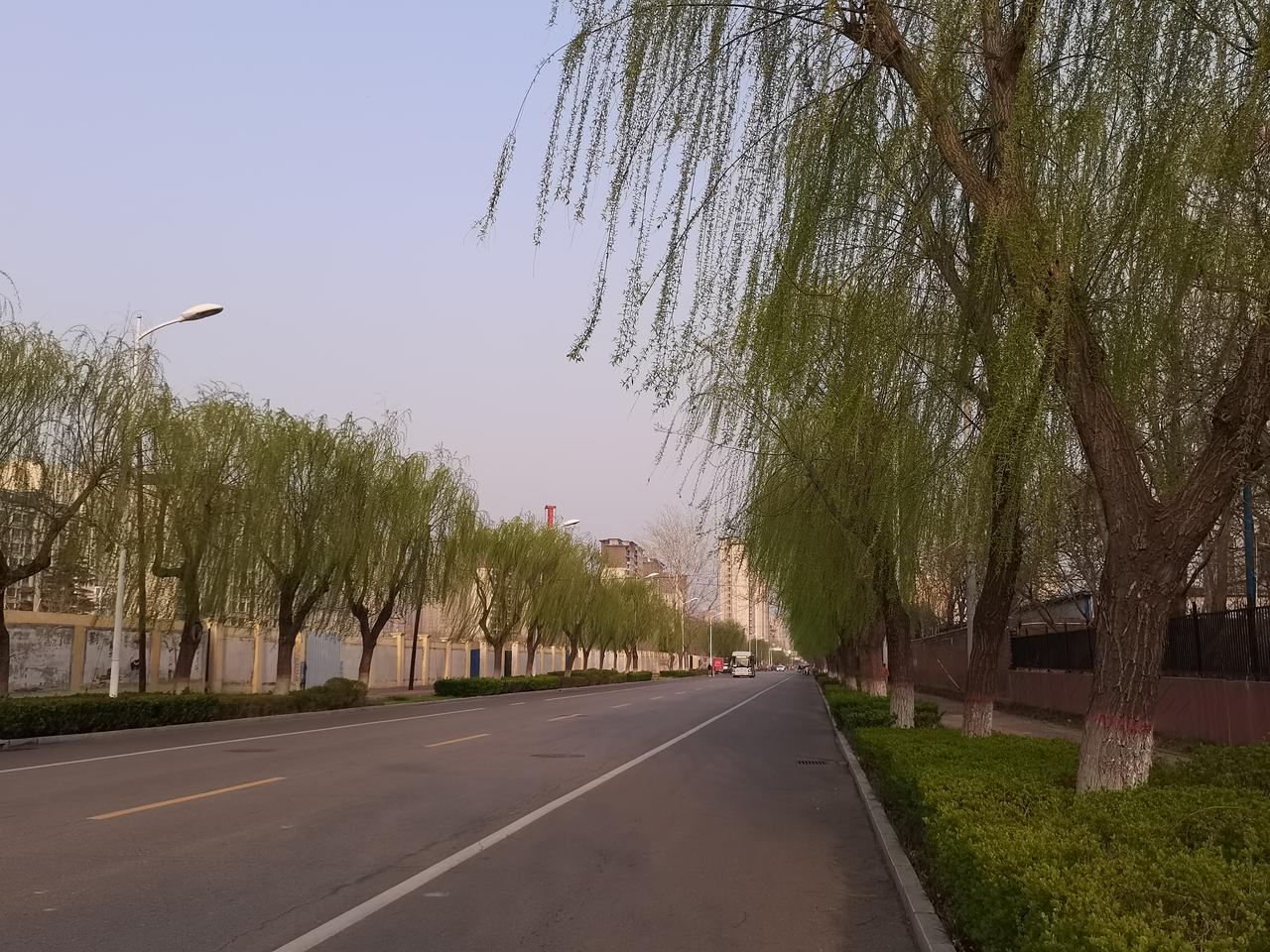 最幸运的戒烟，值得尝试推广男子一想抽烟就买彩票中了701万元能被馅饼砸到太幸