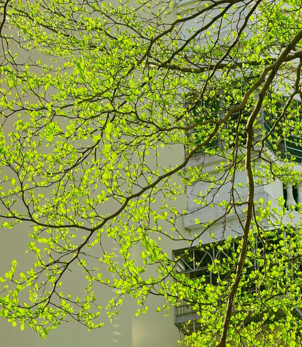 女人变美男人是动力。漂亮的老婆，是男人挣钱的动力。男人最好的时尚单品是漂亮的老婆