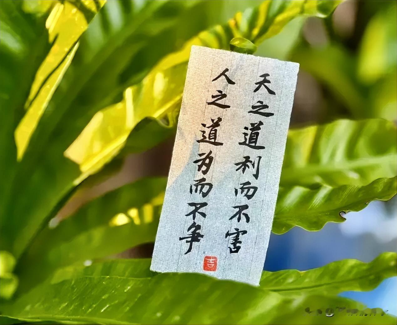 言而有信存温良，分寸相宜方久长！我们都希望身边有一位体贴入微的人，可真正有这样的