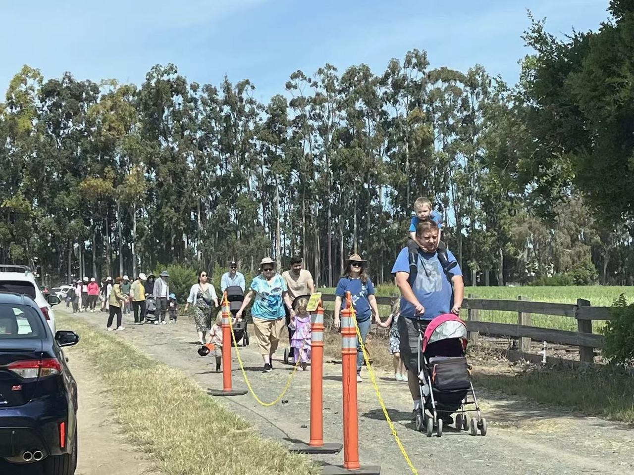 美国推娃的队伍，好像比中国更威武，为什么？中国推娃，祖辈是主角；美国推娃，父辈