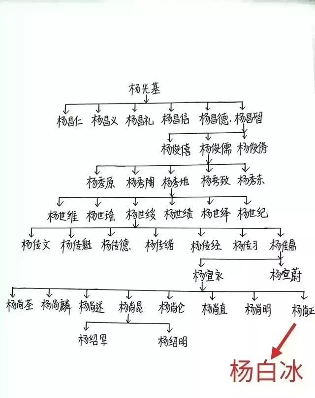 杨白冰家族成员简表！杨白冰：中央军委原秘书长，93岁，属相猴，1988年被授予上