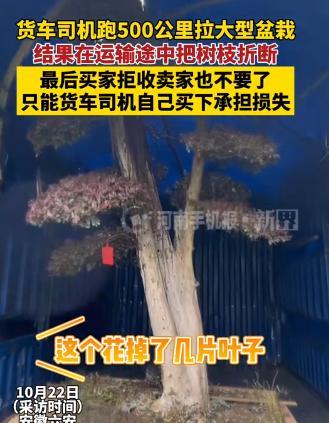 安徽六安，男子接了一个单，是运一棵盆栽到买主那里，500公里的路程，运费是600