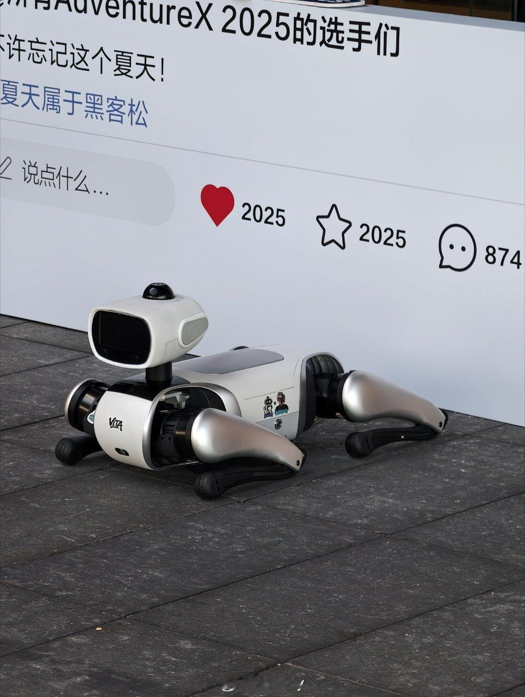 偶遇维他动力的机器狗。​​​