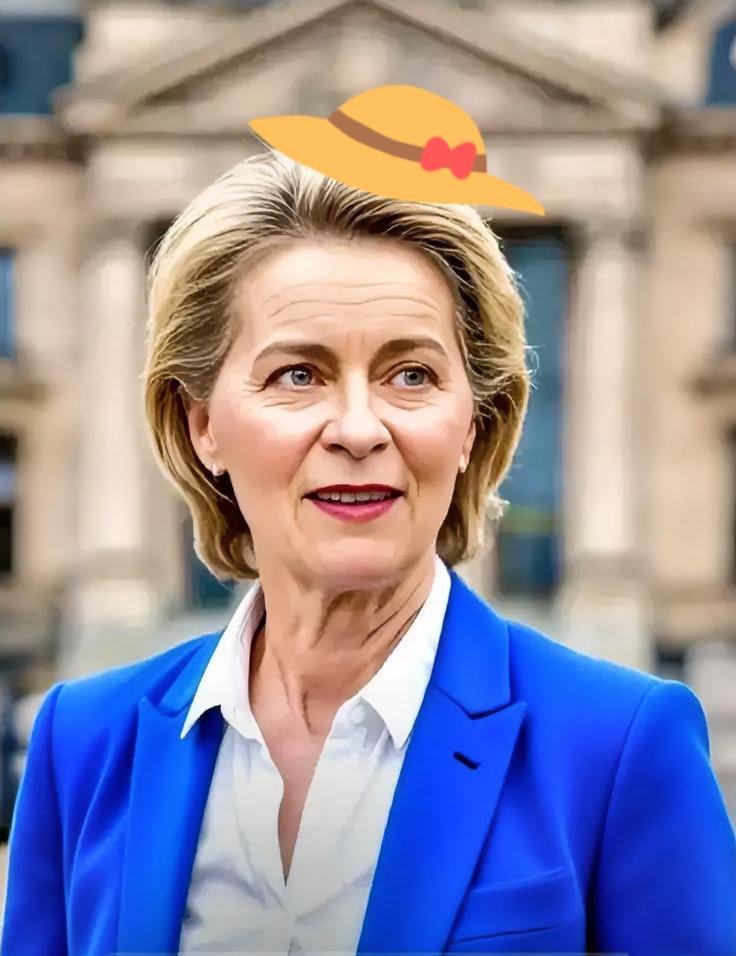 欧盟撤销对华诉讼！12月2日欧盟正式撤销了在世贸组织对中国的诉讼这场持续近两年