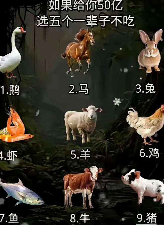 这怎么可能？