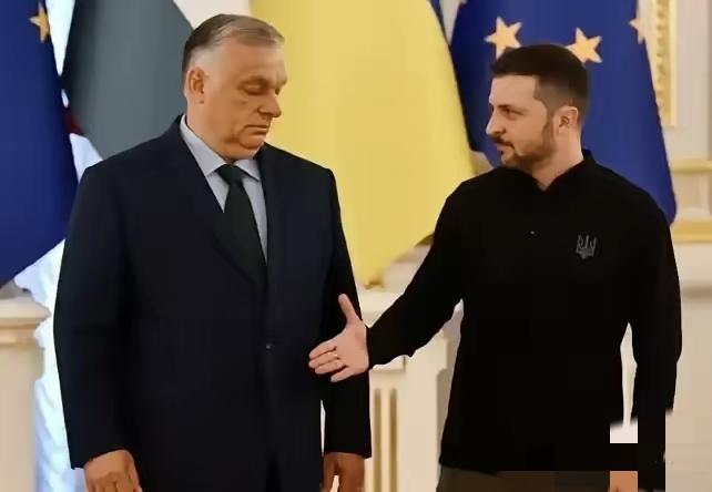 欧尔班一败选，欧洲几家欢喜几家愁，这事根本没那么简单。欧盟终于松口气，少了个