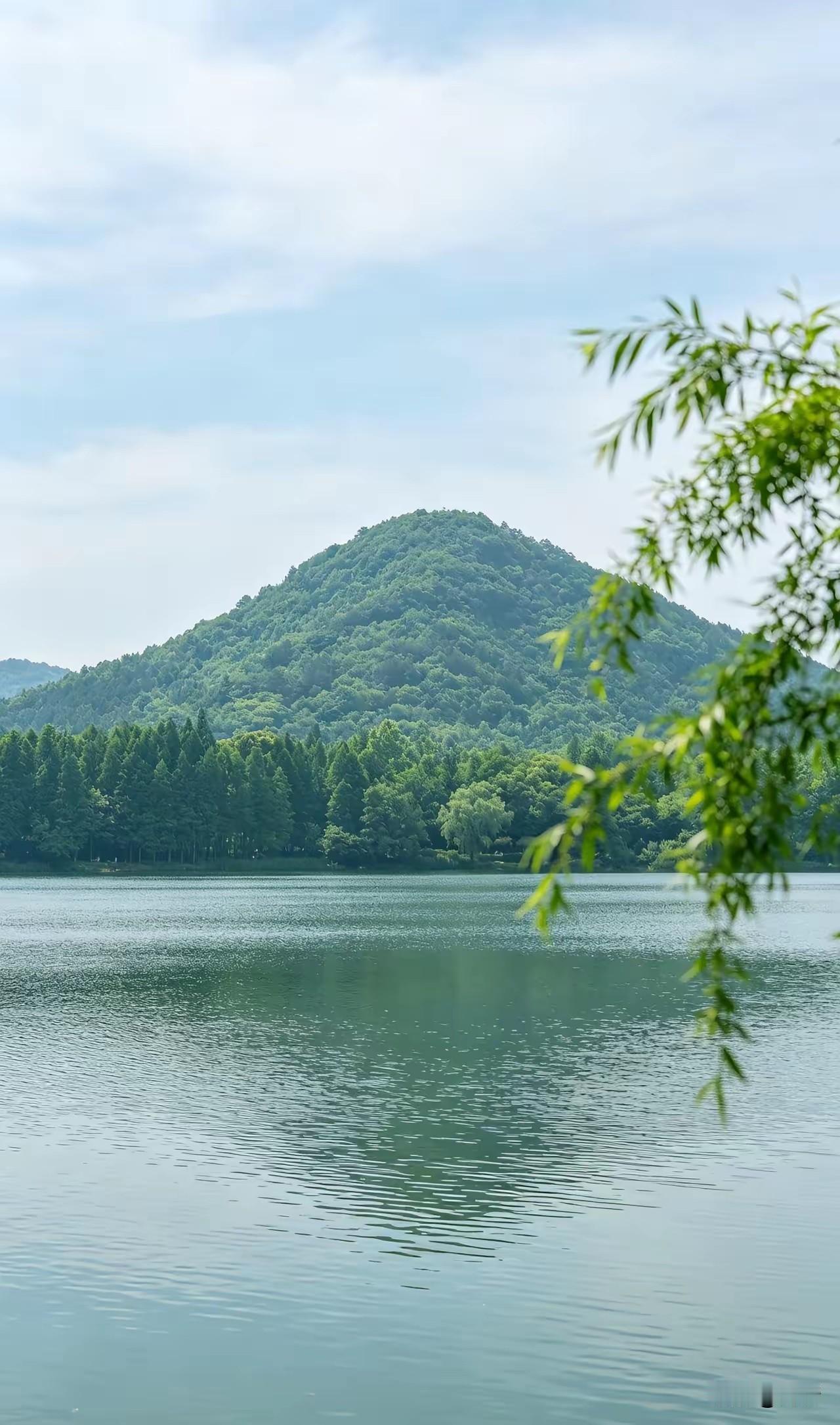 人体八大养生密钥，坚持日常养护，百病远离一身轻1. 强身固本开关：规律快走