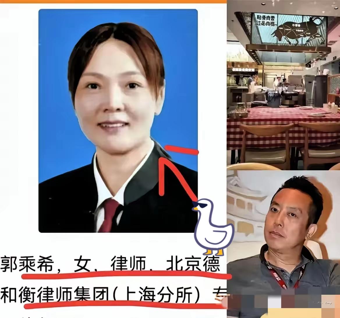 西贝老板贾国龙这回是真栽了！九年老顾客、专攻大案的女律师郭乘希，带着攒下的8