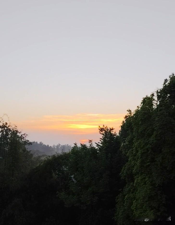 有定数，这便是命运我认识的好几个人，毫无征兆地就离世了。他们平日里身体状况看着