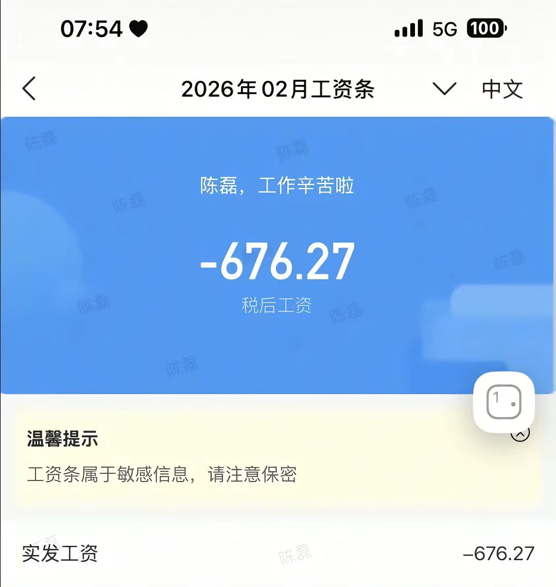 居然工资都发出了负数，上的是兴趣班吧🤣