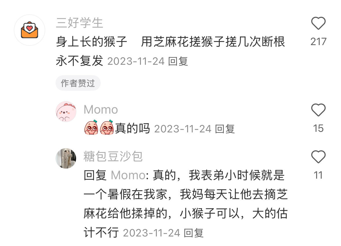 其实养出生命力的方法真的不贵