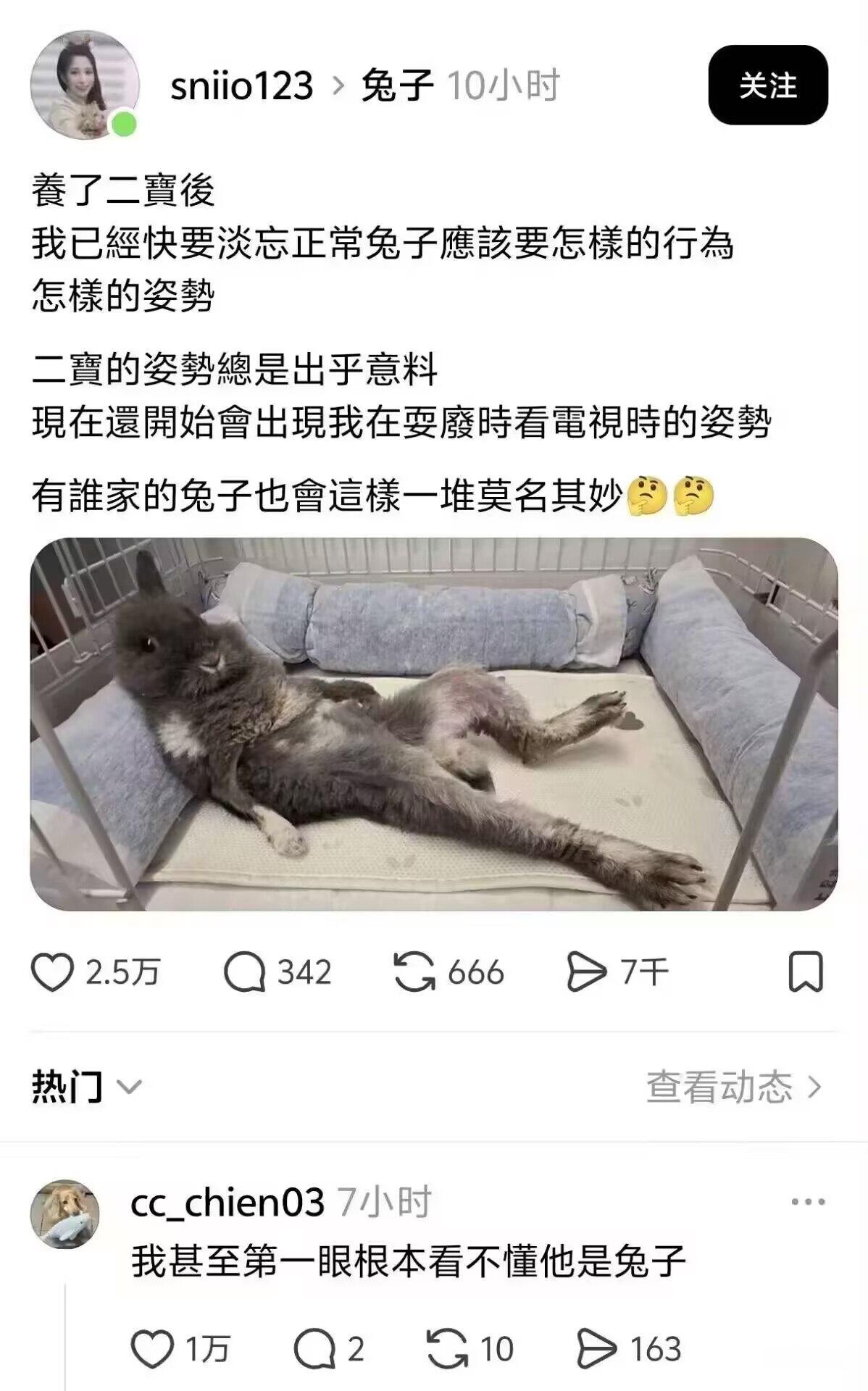 这啥