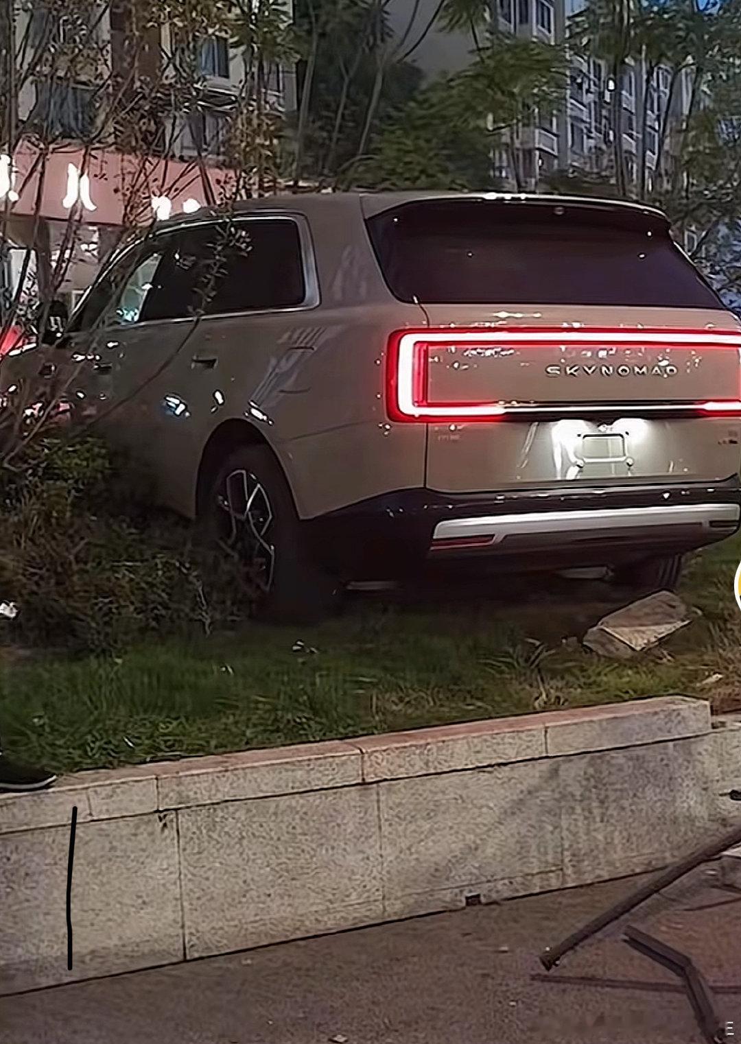 友商经费真的是有点高啊！咱们村违法成本太低了；这特喵不要脑子想都是故意的[doge]#微博##雷军#