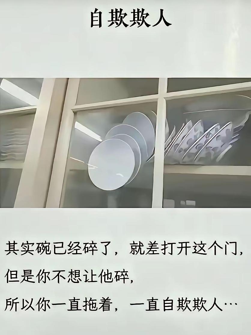 碗很金贵吗？碎了又何妨？只要碗柜是好的，不妨换一批新碗！大家觉得，这些碗该怎