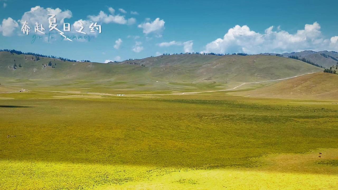 1️⃣初入阿禾公路：起点是准噶尔盆地的金黄沙漠，车轮碾过无垠沙海，连风都带着干燥