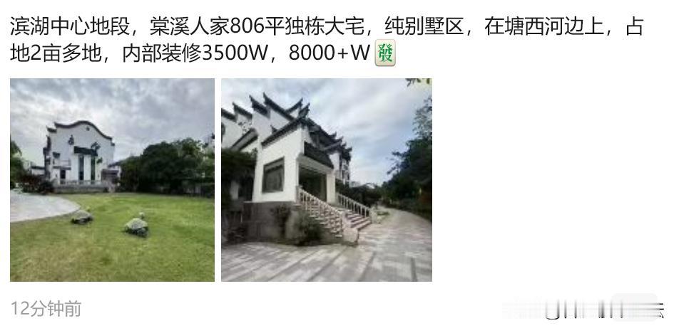 合肥滨湖8000万的房子，装修3500万。卖了这个的中介今年的任务也可以结束了