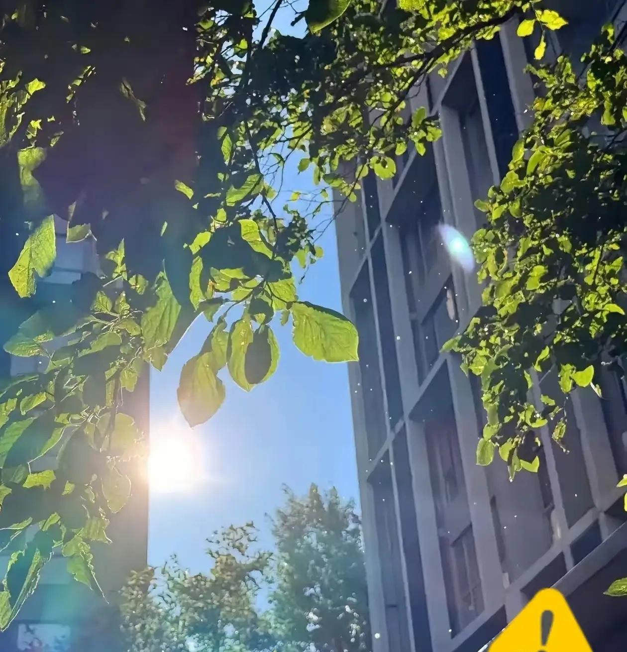 通知大家。大家要做好准备。还有12天，也就是8月14日就正式入末伏了。末伏跟中伏