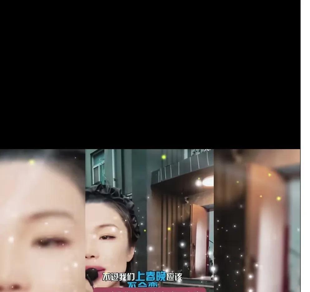 张伯鑫他老婆给张伯鑫定下了今年的奋斗目标，那就是上春晚。虽然说春晚的门槛很低，