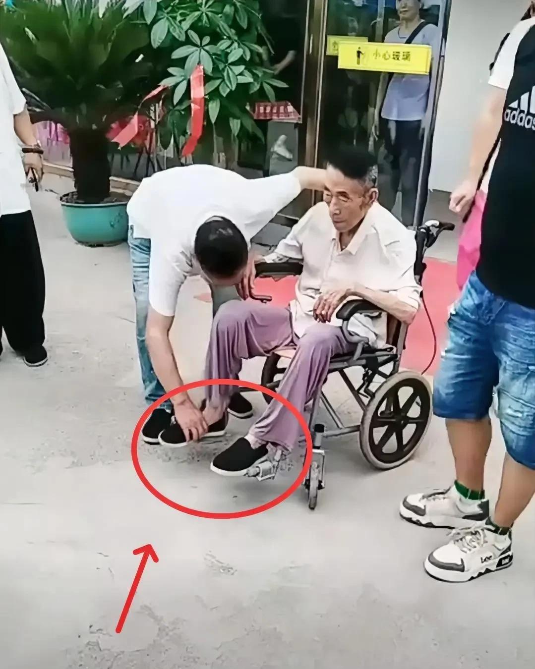 不知道你们注意到一个细节没有，上午杨少华老爷子参加剪彩活动的时候，杨仪老师有这
