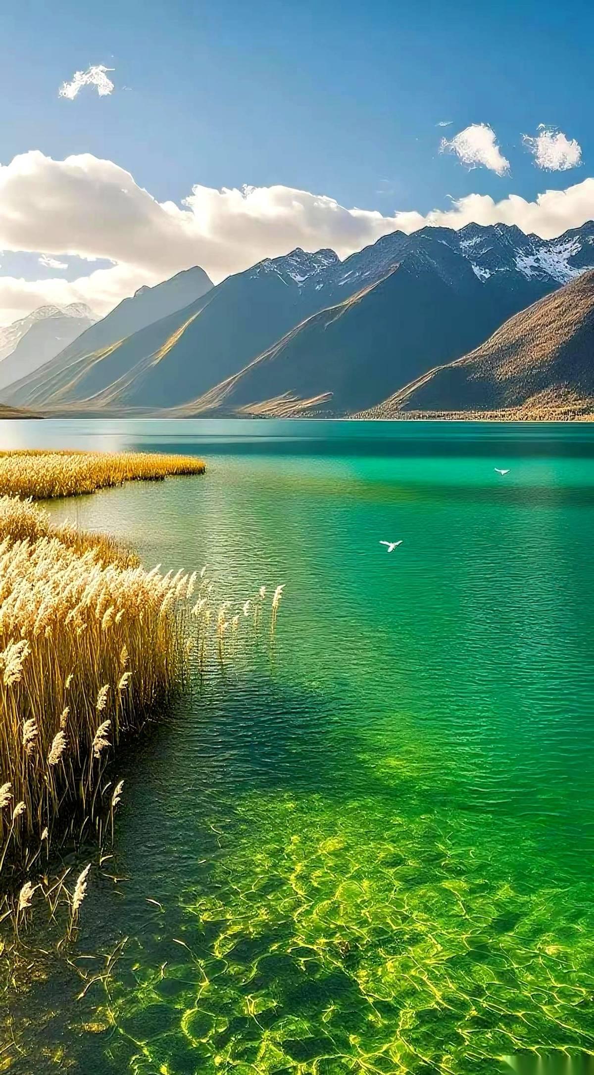 一个卖保险的经理，把门带上，给我交了个底。他说，你那十来万的车，每年花五六千买