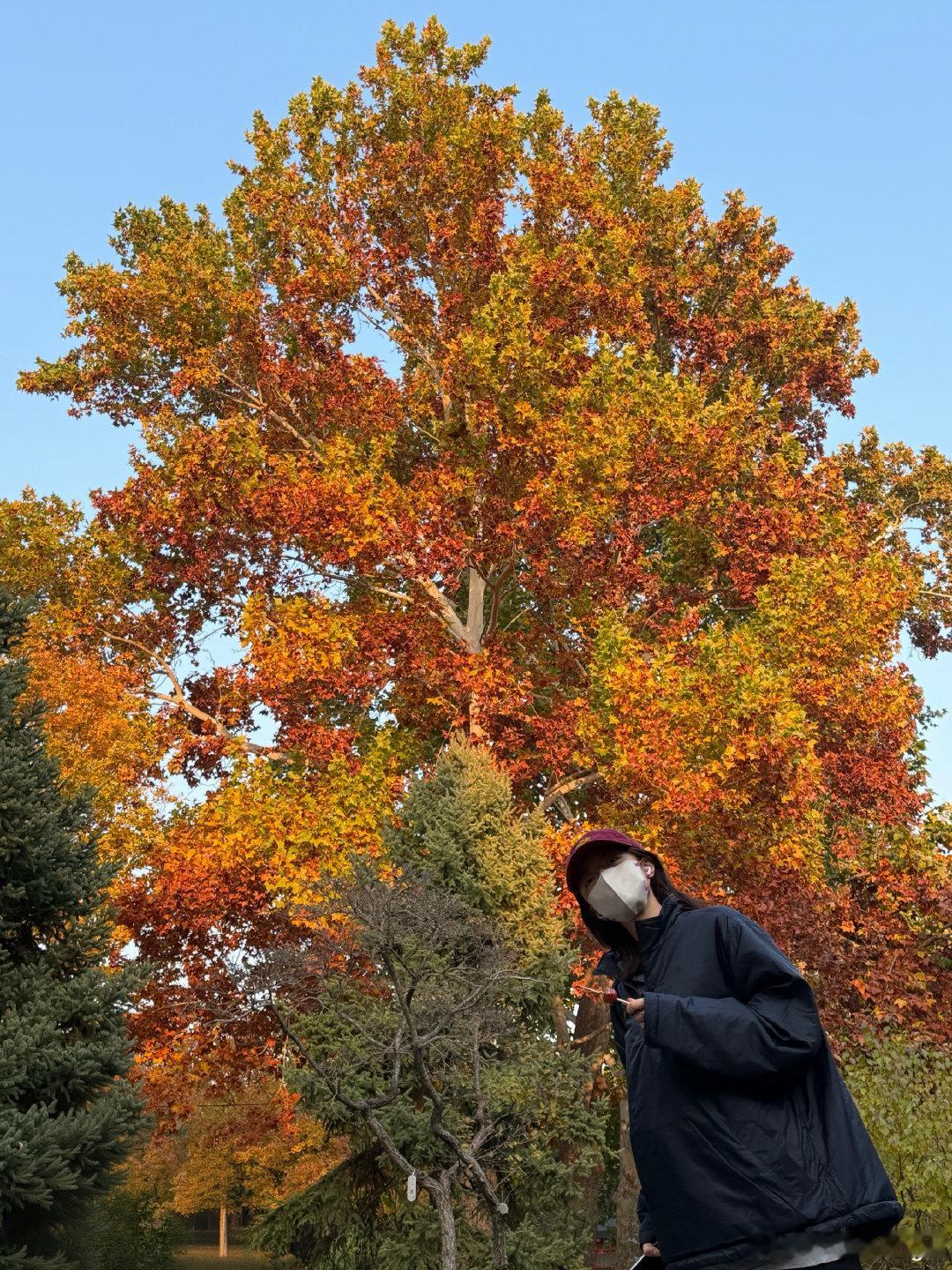 赵今麦继续积攒自然的力量继续积攒自然的力量