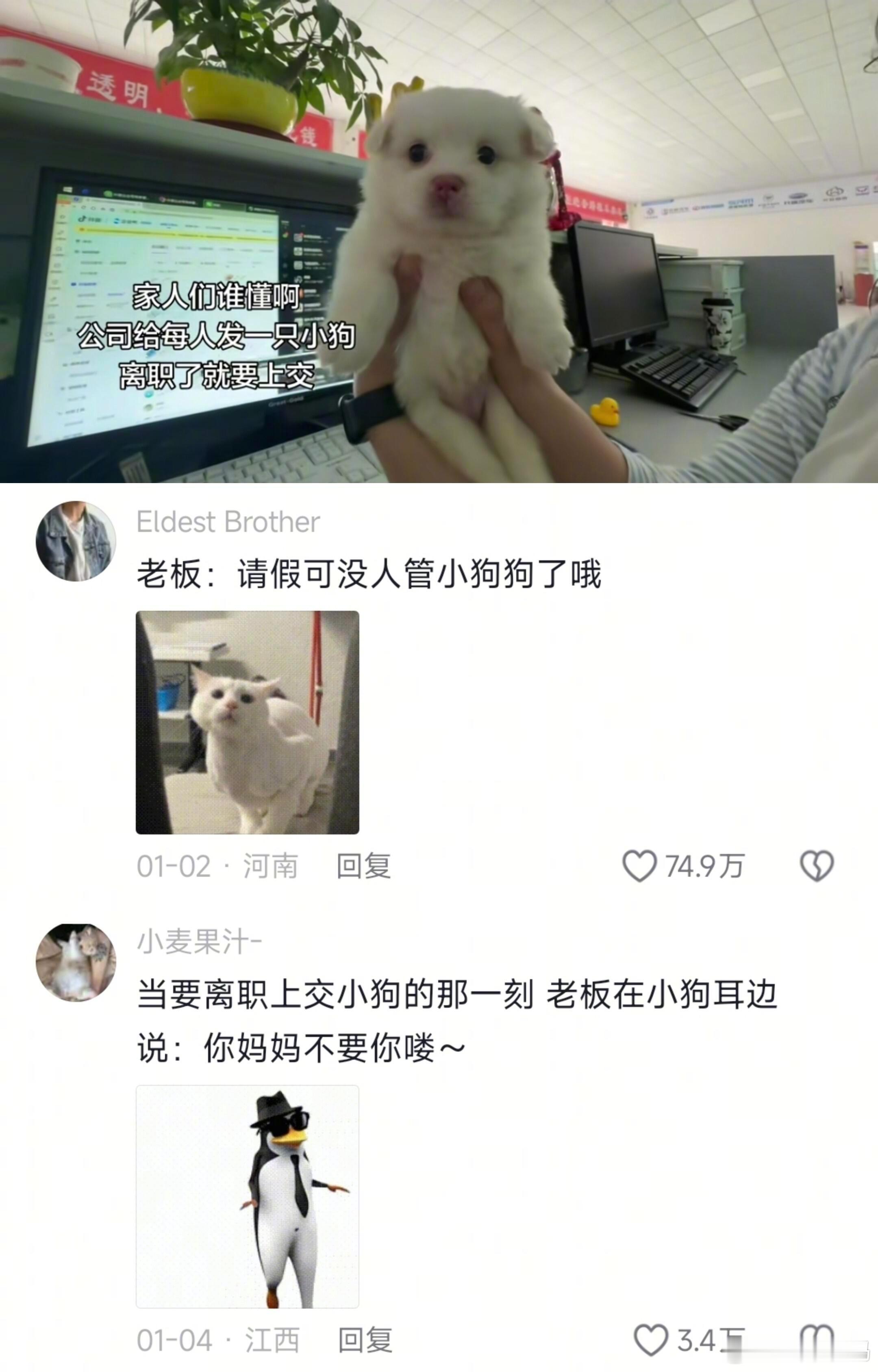 不婚不育的那批人，这下在公司也是有了软肋