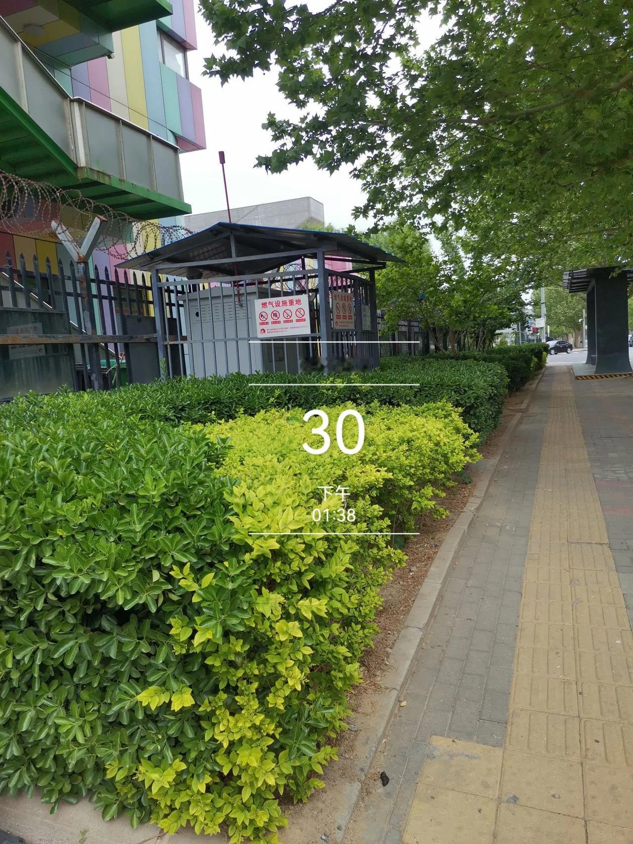 白姐：农村来的“都市菜农”“白姐（化名）真是的！她有退休工资，
