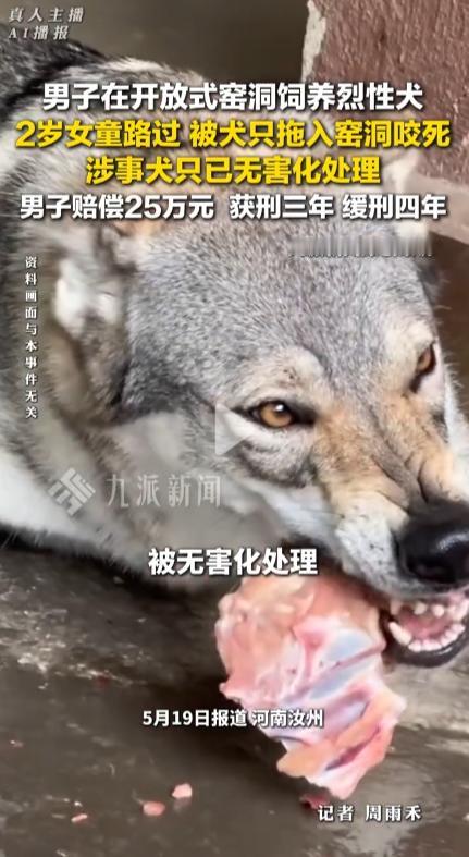 5月19日，这件事看得人头皮发麻！一名男子养了一只烈性犬，凶得整条街都没人