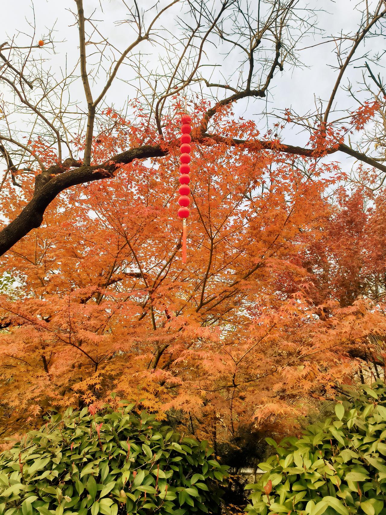 现在的孩子还喜欢听故事、讲故事吗？这个问题值得思考。以前做老师要想吸引学