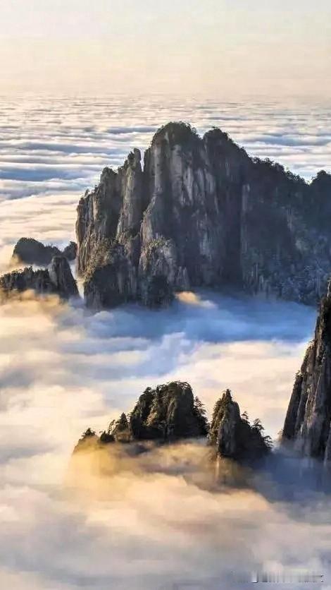 云雾缭绕漫过山谷，一座座奇峰刺破云海傲然挺立，峭壁上的黄山松苍劲挺拔。山
