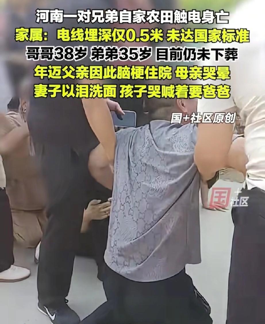 2兄弟农田触电身亡后，河南这一大家子的天全塌了！父亲因悲痛脑梗住院、母亲哭晕、妻