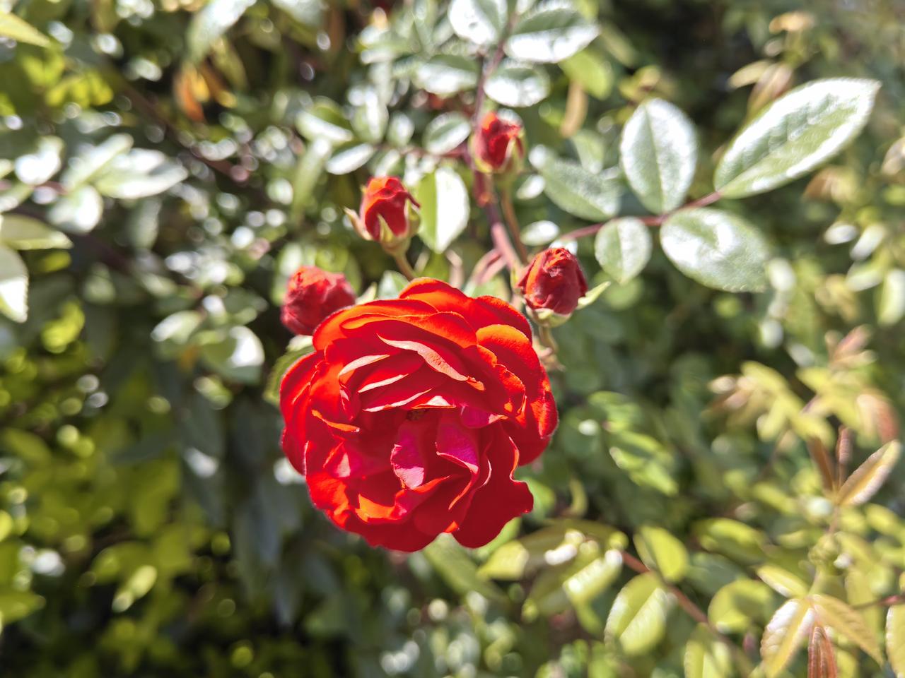 公公摔了一跤，骨折了。大儿媳妇是医院护士长，却沉默不语，不给任何意见和建议，真是