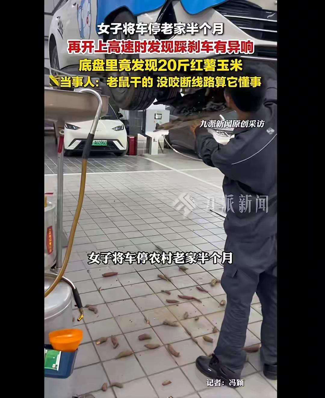离谱！女子出差半月，爱车底盘竟被塞进20斤粮食？修车师傅看傻：这辈子头回见！