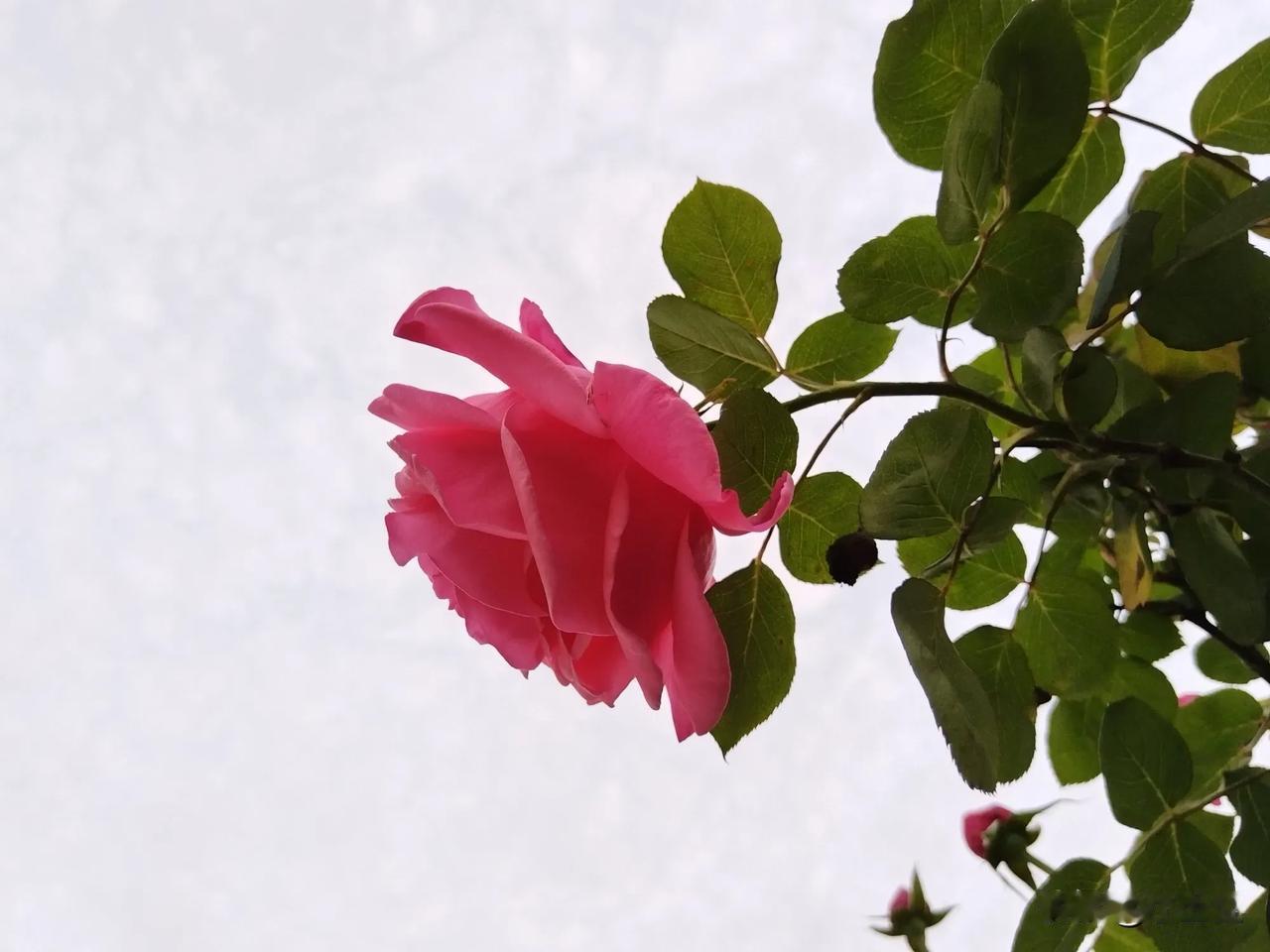 考上公务员有哪些好处，说出来让你大吃一惊：1、考上公务员以后，每天可以早晨送