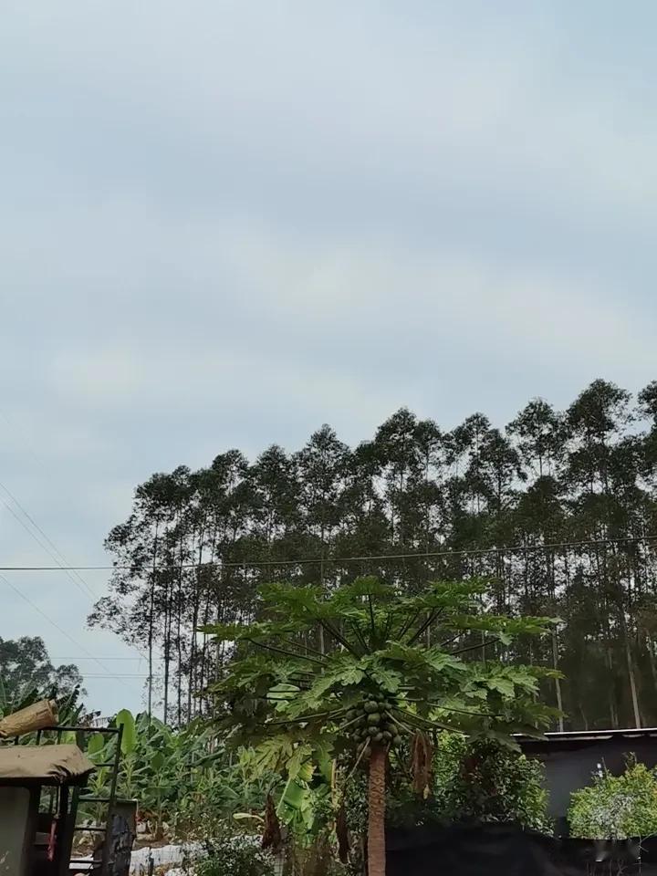 老家的天是真的蓝晚上也确实是有点冷今天想回去上班了老人家留下来给姐姐和妹妹