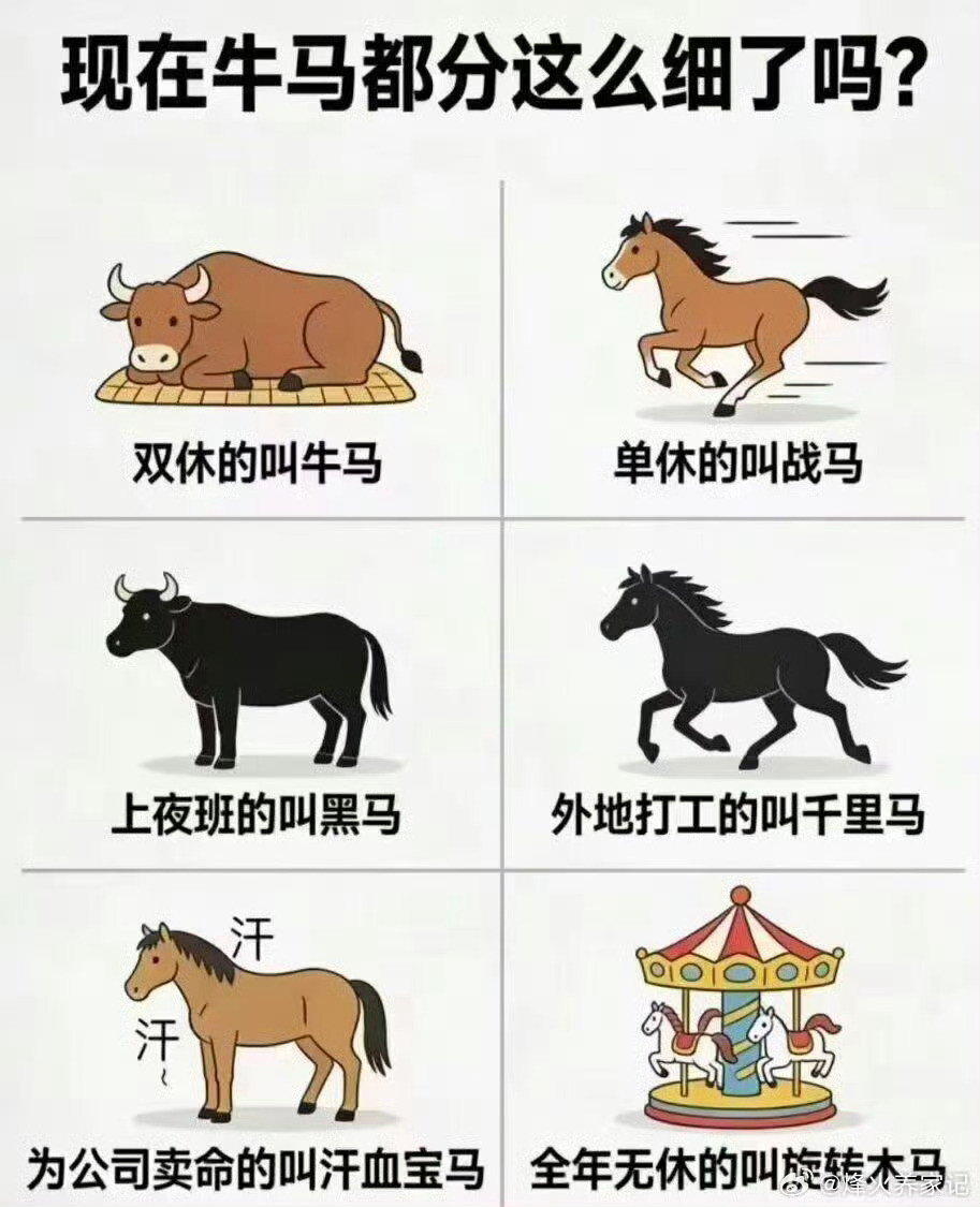 防止你不知道：怎么区别牛马