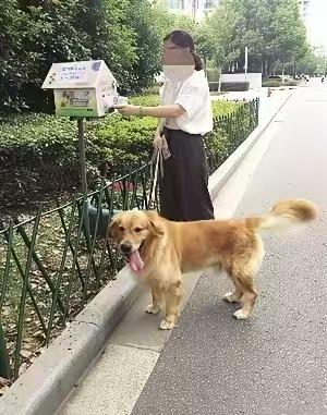 投毒被判四年，投放不拴绳的狗算不算。要是遛狗不栓绳，会不会拘留，狗要是咬了人，会