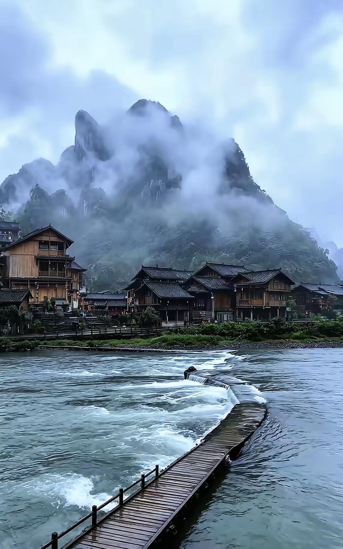一位高人说:“你站在厨房，鱼就是食物，你站在佛堂，鱼就是生命，你站在市场，鱼就