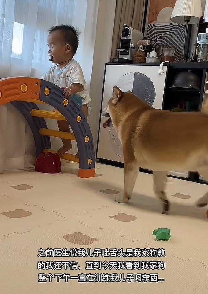 有孩子的家庭养宠物一定要谨慎啊哈哈哈哈哈哈