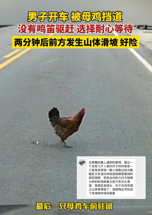 这下科学也解释不清了！近日西藏，男子驾车路过西藏自治区芒康县，行驶中发现前方有一