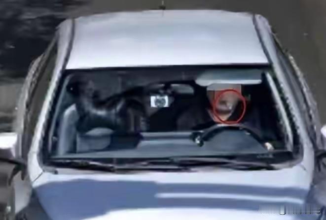 啊，这都能违法?8月25日，无锡市民钱先生驾车途中觉得无聊，便将一支牙线棒叼在嘴