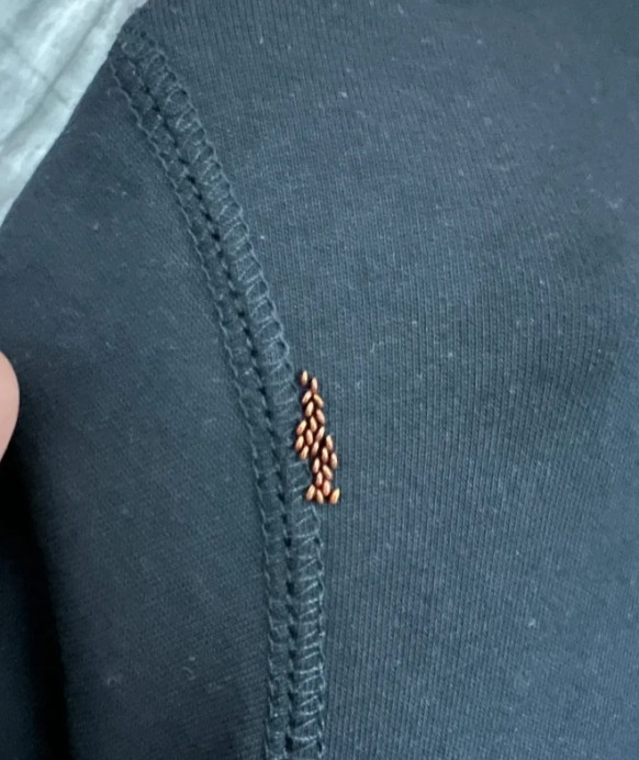 云南，一名女子在整理衣柜的时候，发现了一件好久没有穿的衣服，于是她决定把这件衣服