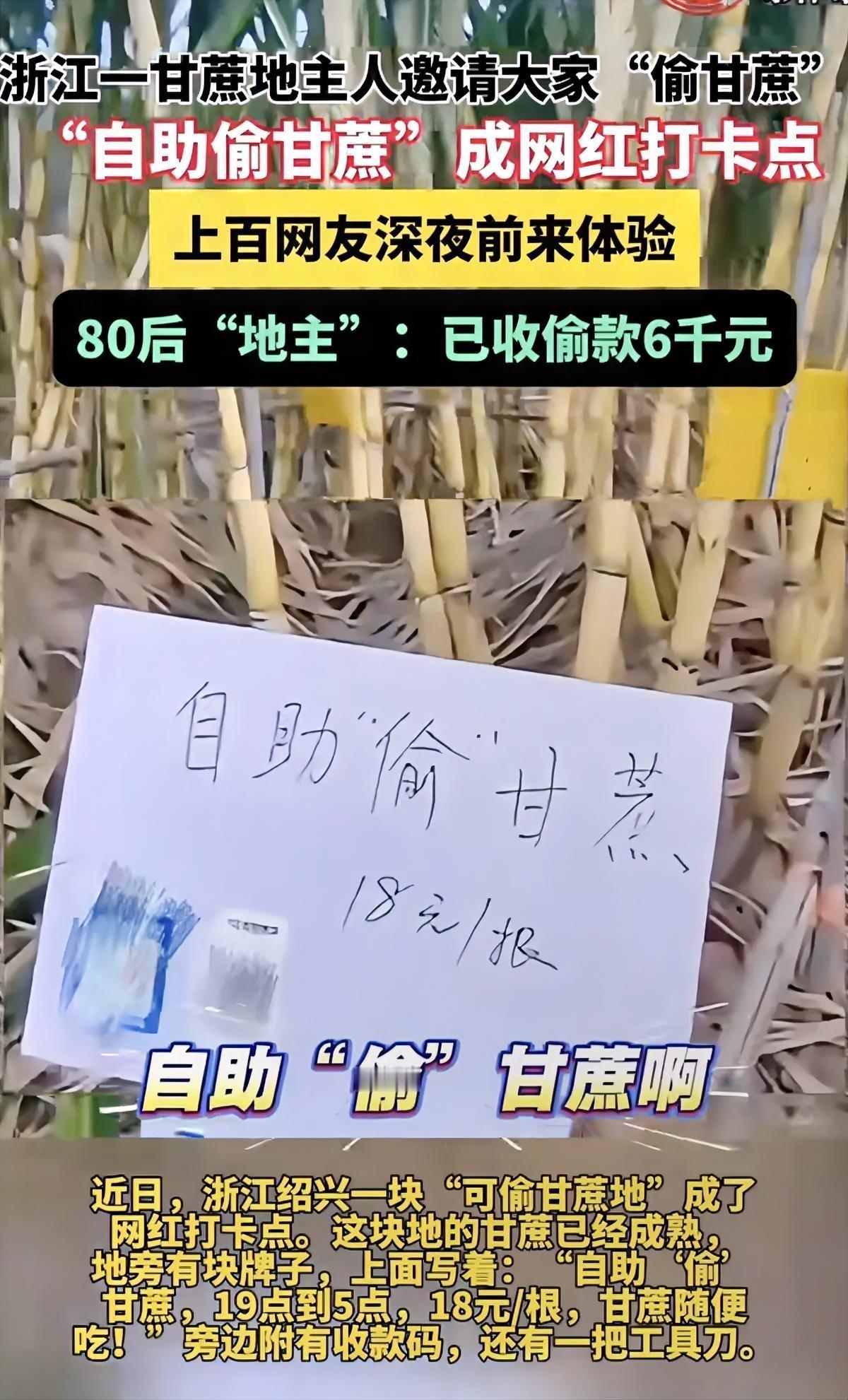 “可偷甘蔗地”彻底火了!还给所有地方打了个样板,就是你不仅要抓住网友的胃,还